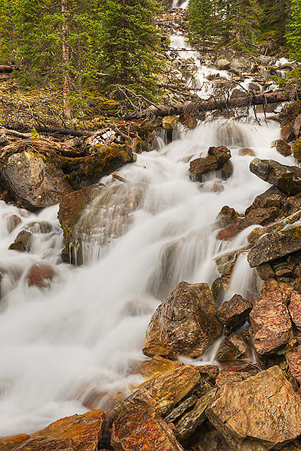 Opabin Plateau Outlet Stream, Yoho National Park, British Columbia