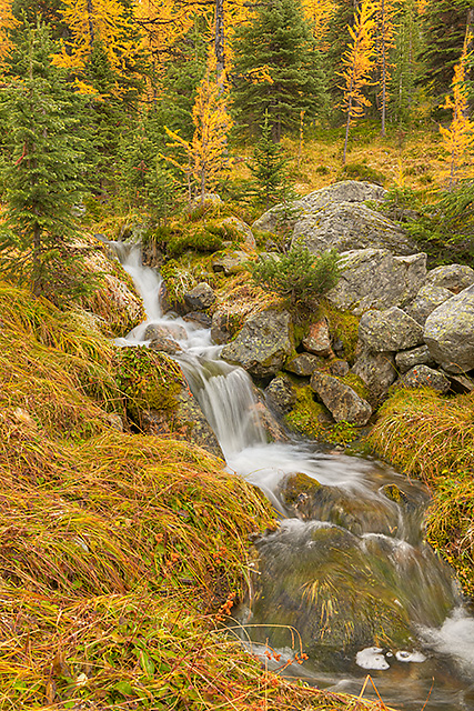 Opabin Cascade, East Opabin Trail, Opabin Plateau, Yoho National Park, British Columbia